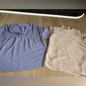 Set of Two Blouses in Blue and Beige